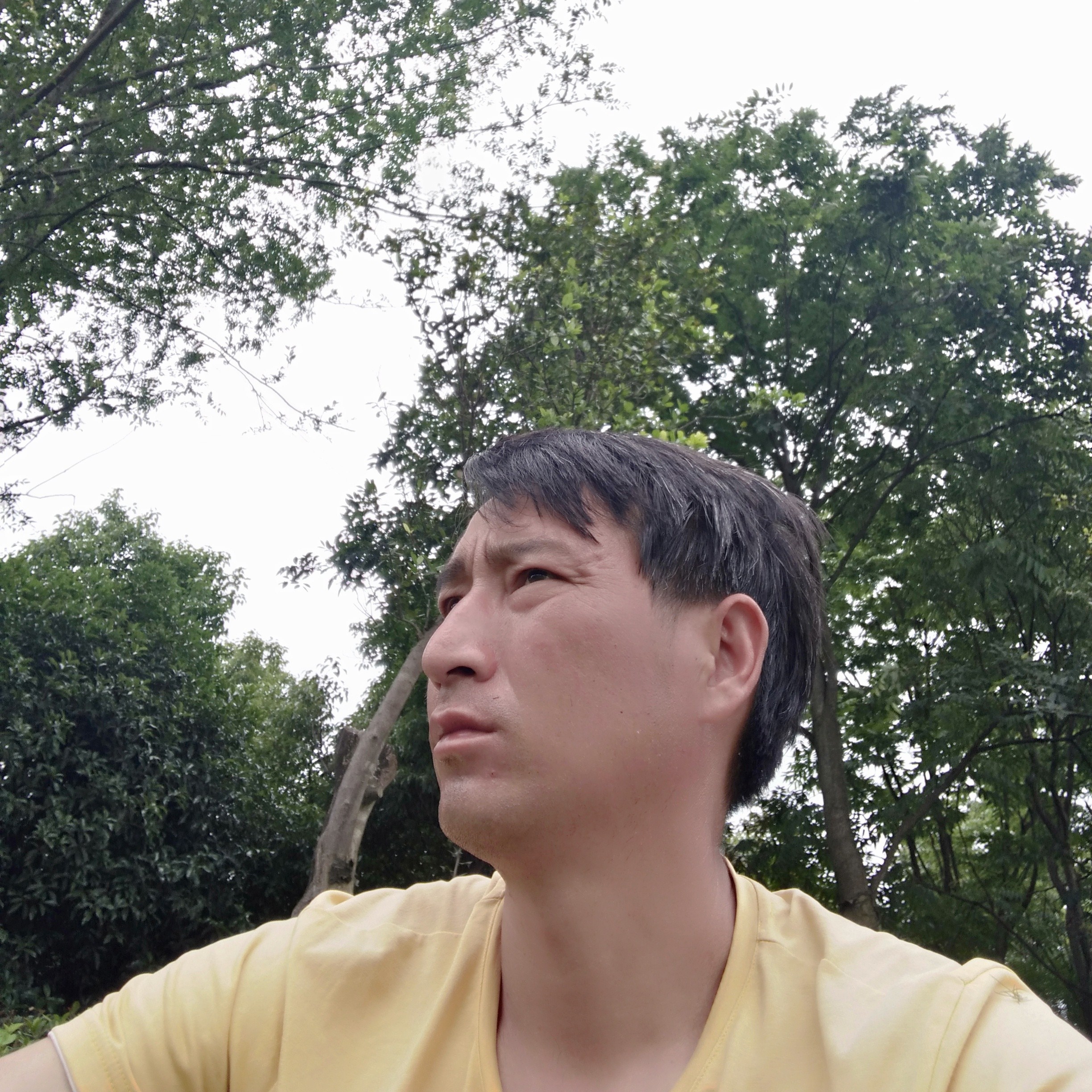 啤酒那清爽的照片