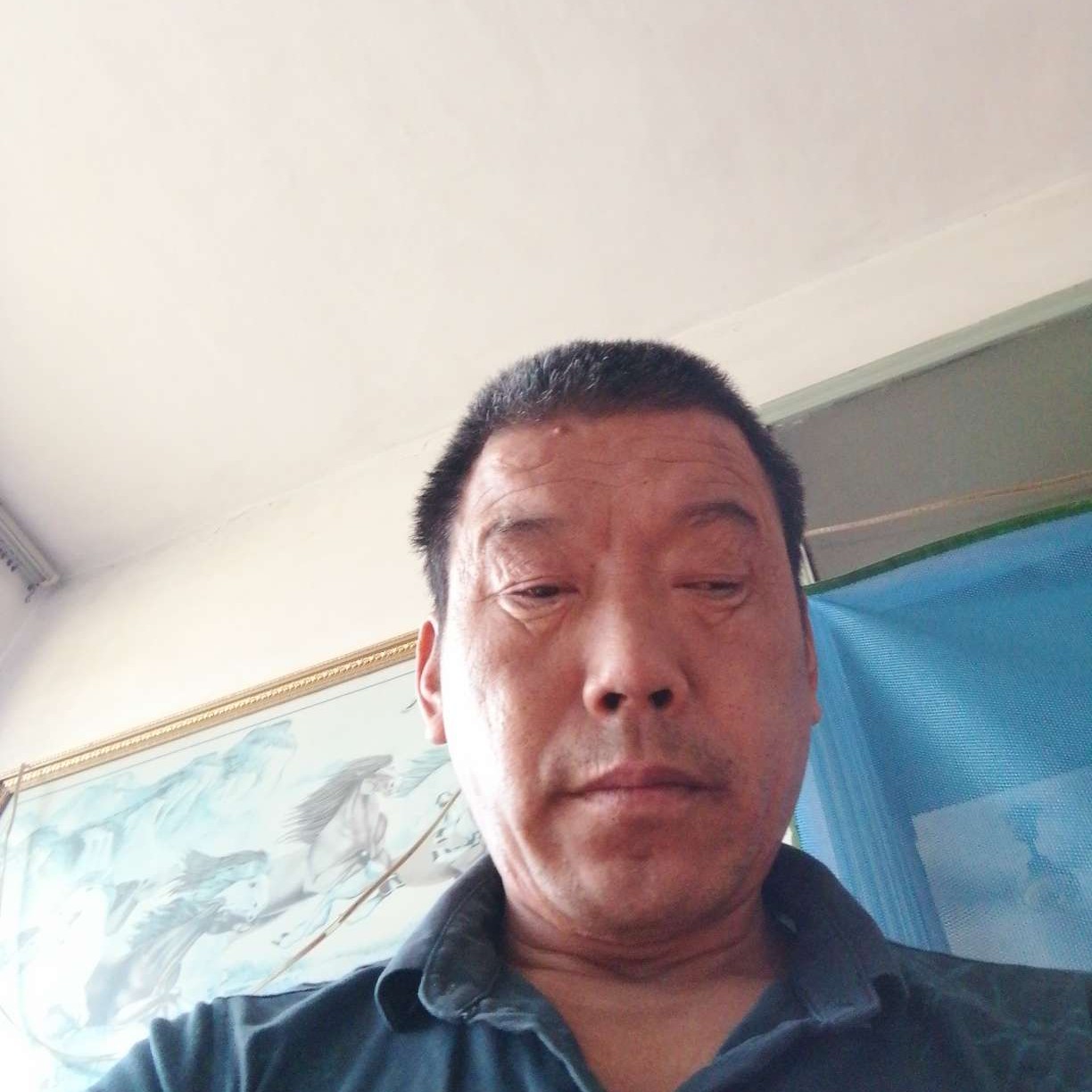 羊等待追寻的照片