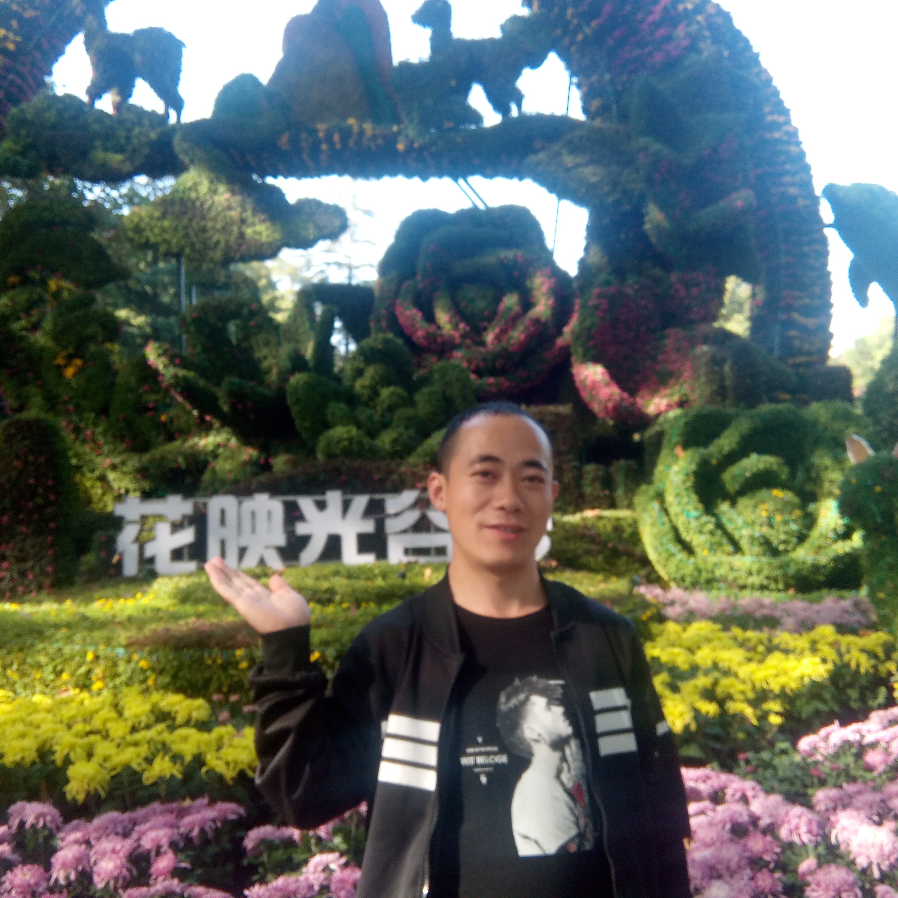 刺猬拿独特的照片