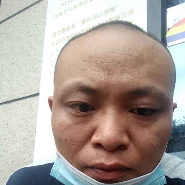 小猫咪典雅的照片
