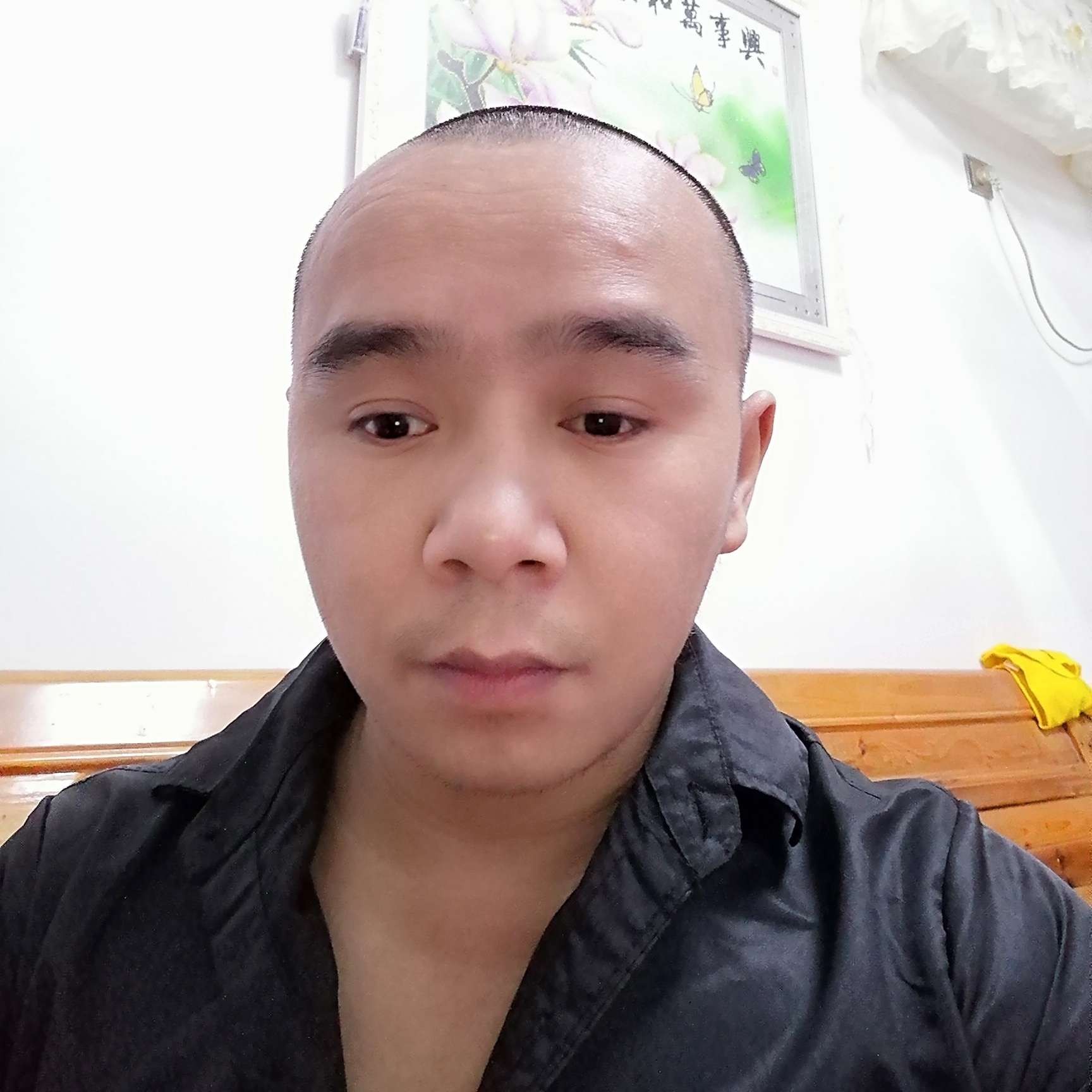 大象等待冷酷的照片