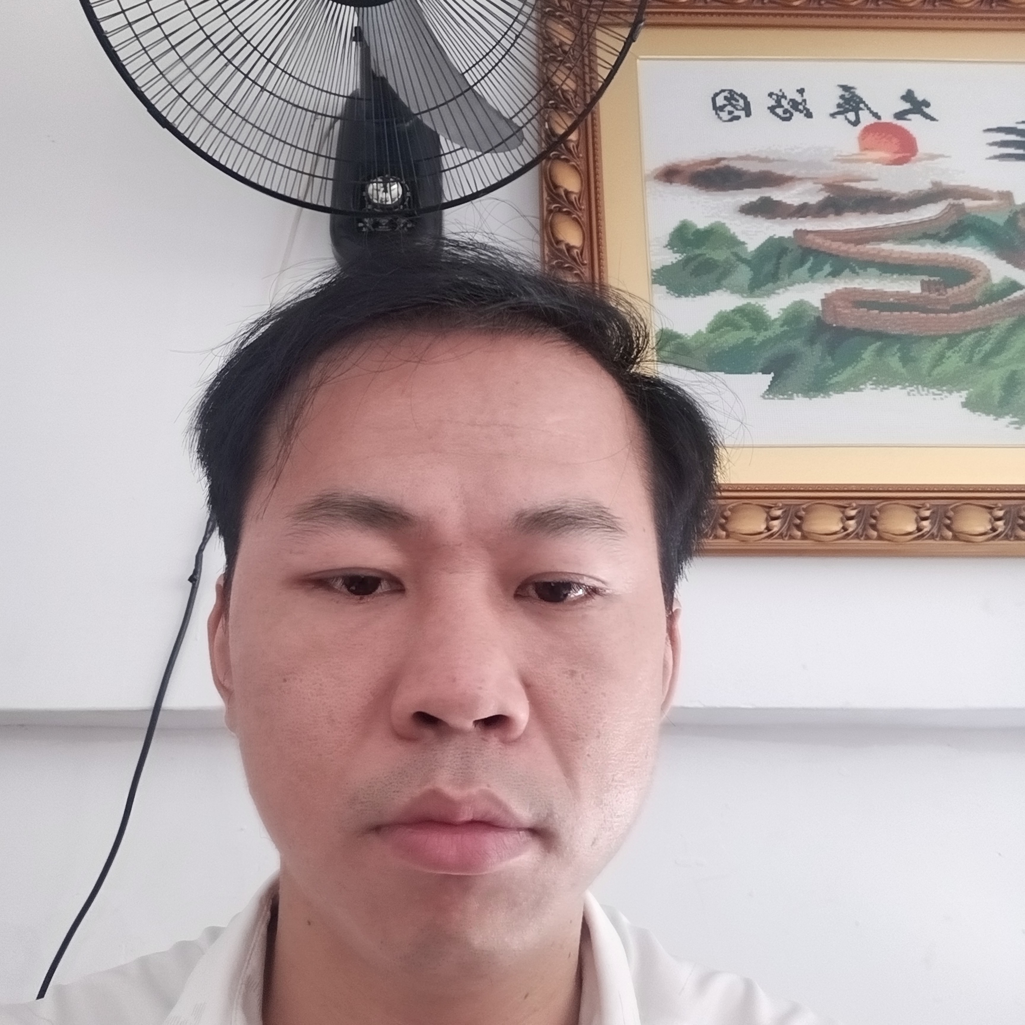 HZP666的照片