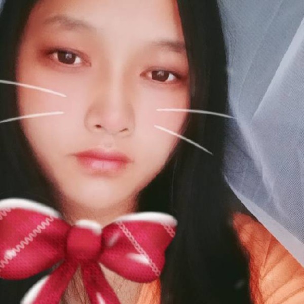 泥猴桃等于幽默的照片