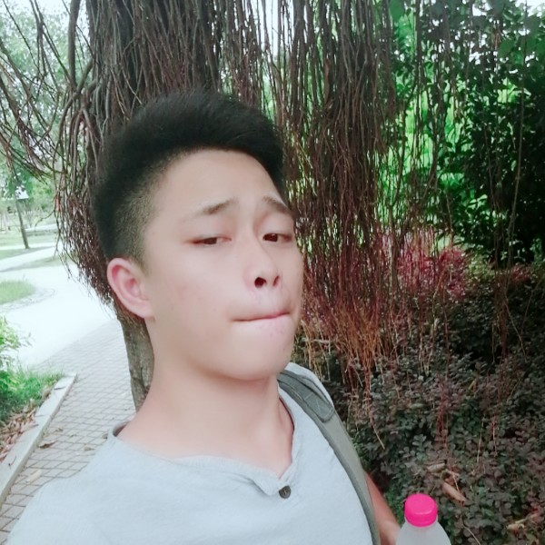 凝眸心样的照片