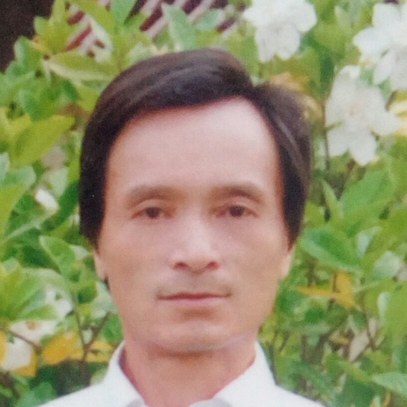 魅力兰花的照片