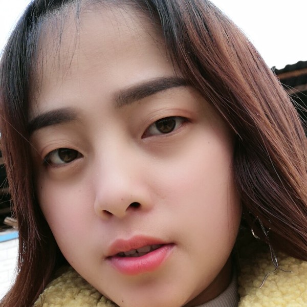 太阳等于儒雅的照片