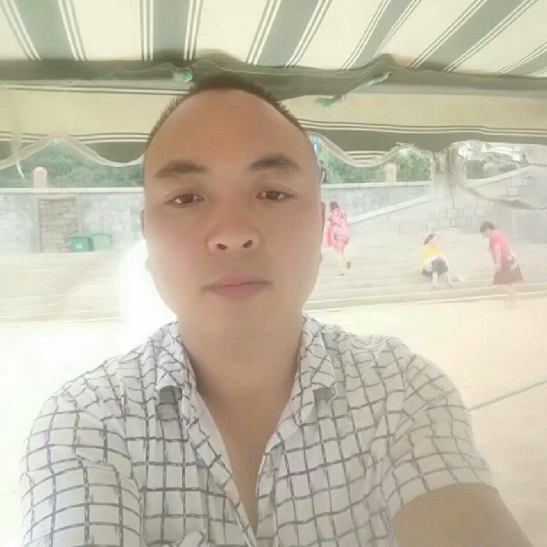 怕孤单板栗的照片