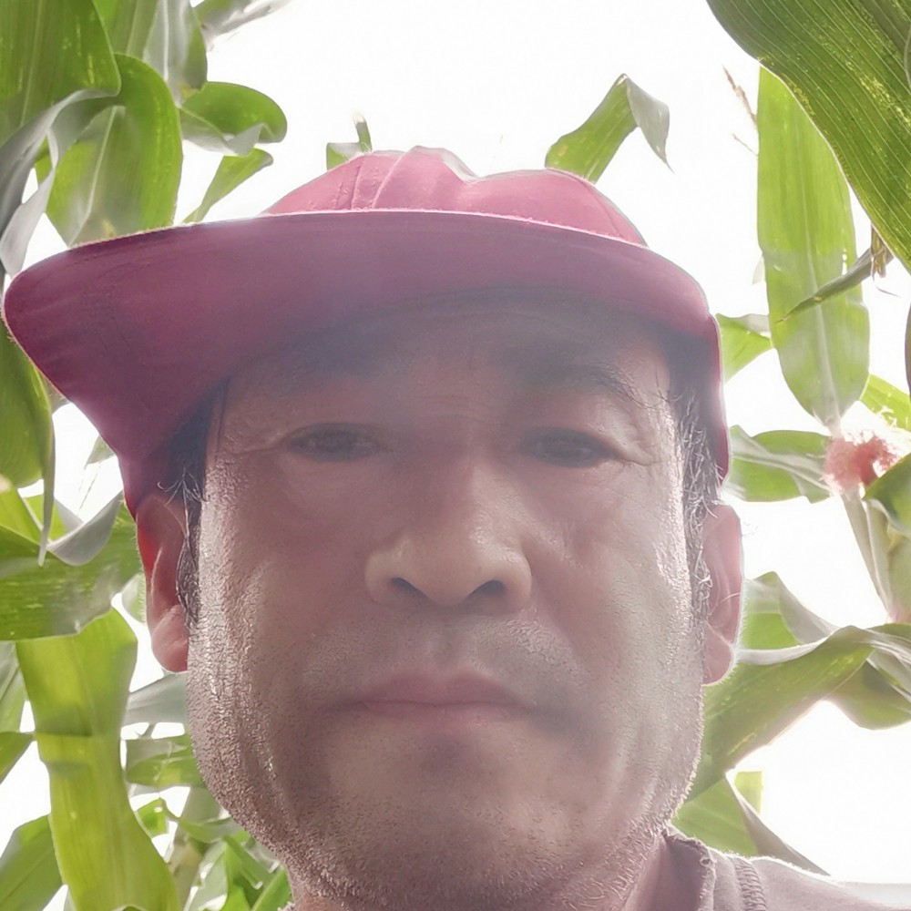 追心的照片
