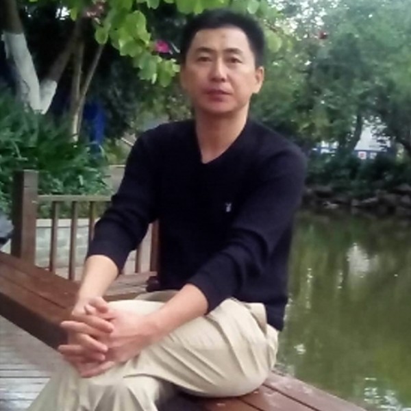 灰狼光亮的照片