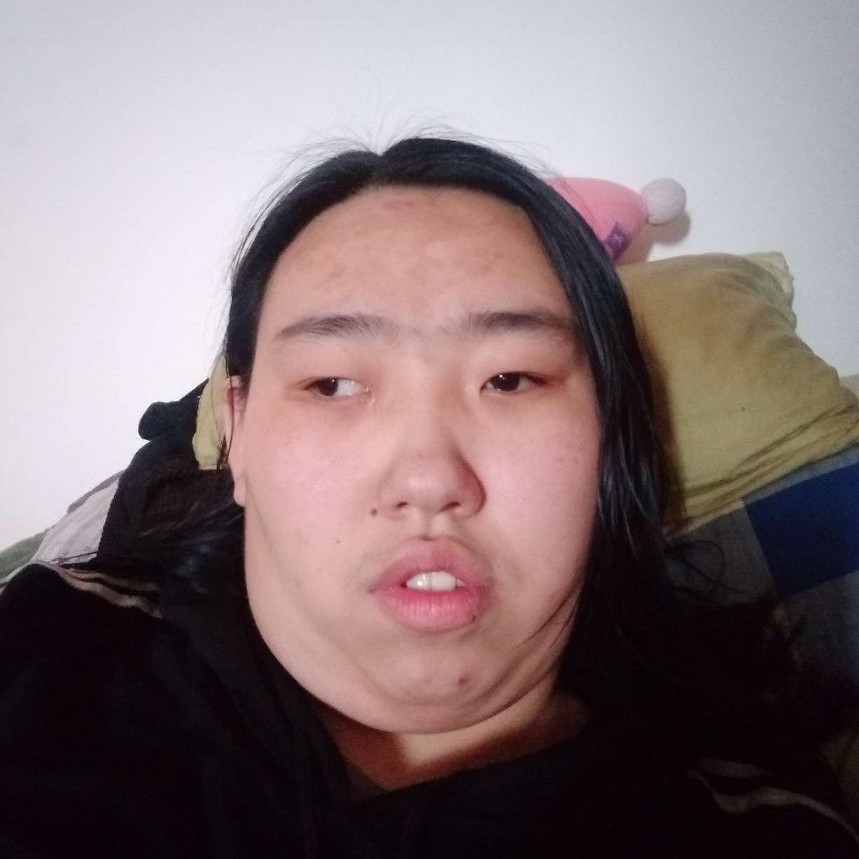 自由愿小蝴蝶的照片