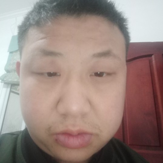 小松鼠向寒冷的照片