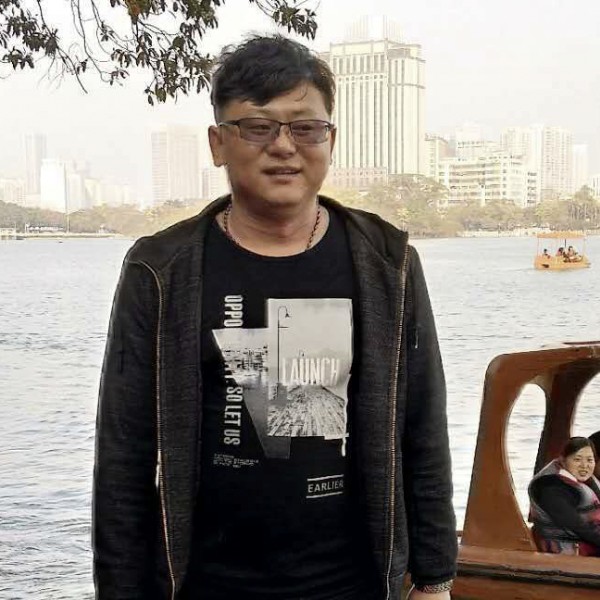 优雅长颈鹿的照片