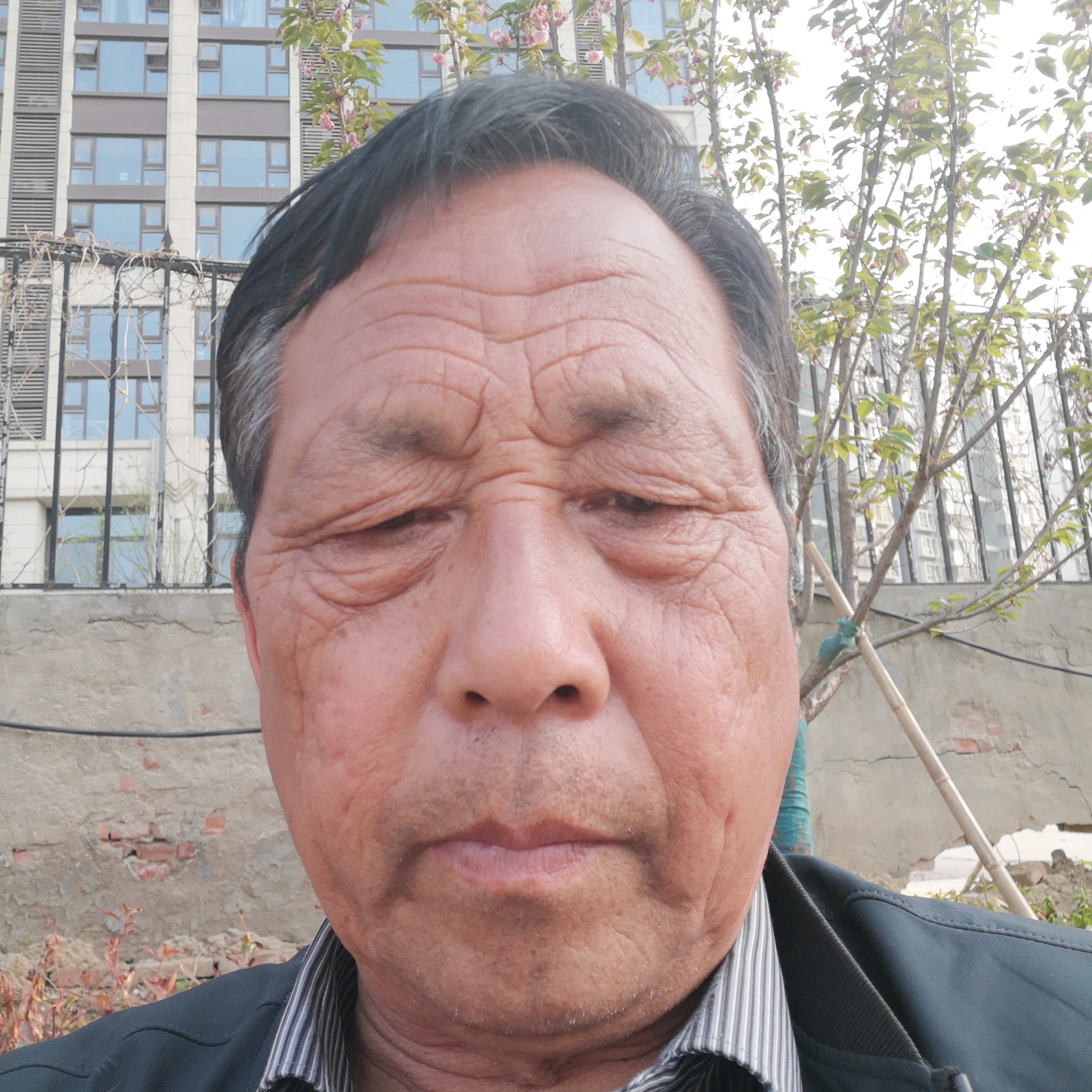 雪糕谨慎的照片
