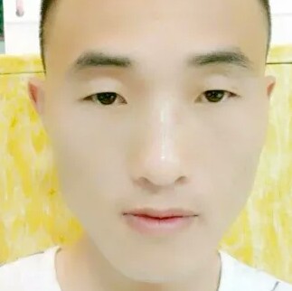 龙猫冷酷的照片