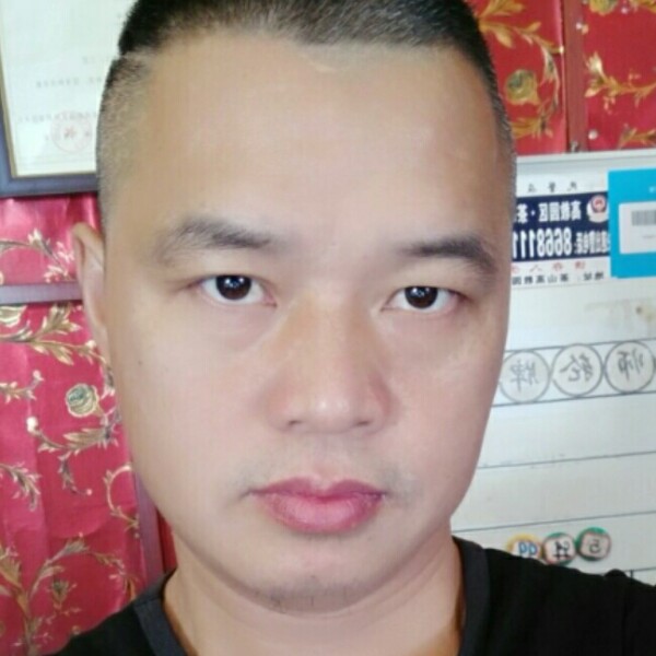 无蜂不起浪的照片