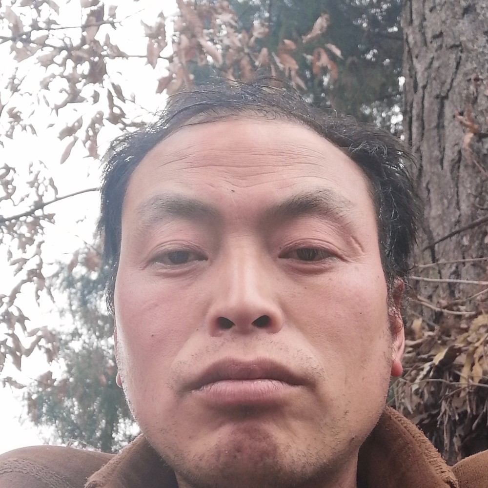 幸福等再的照片