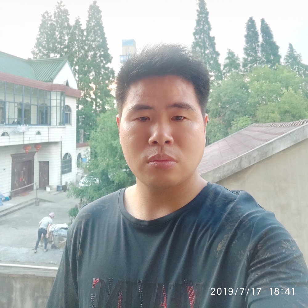 蚂蚁激情的照片