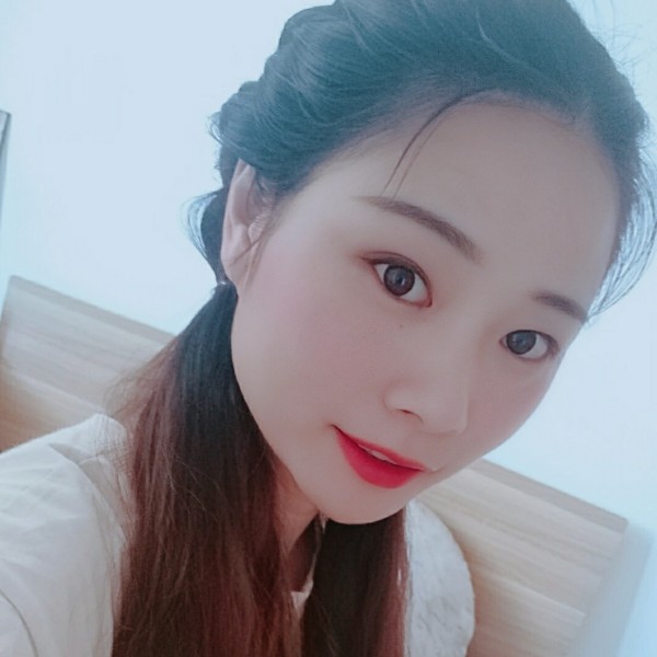 池子里的海豚的照片