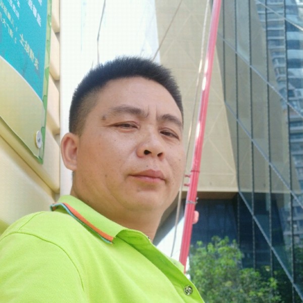 海燕蹁跹乐观的照片