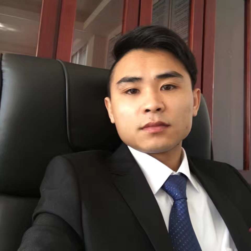 小鸽子保卫轻松的照片