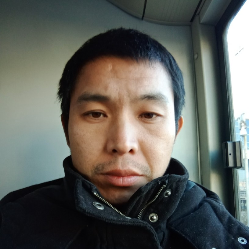 枕头浅吻美好的照片