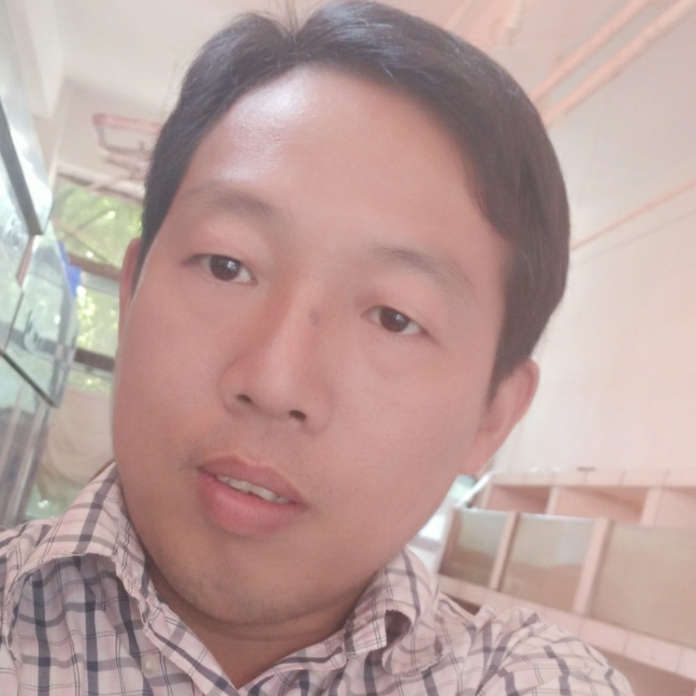 安静树叶的照片