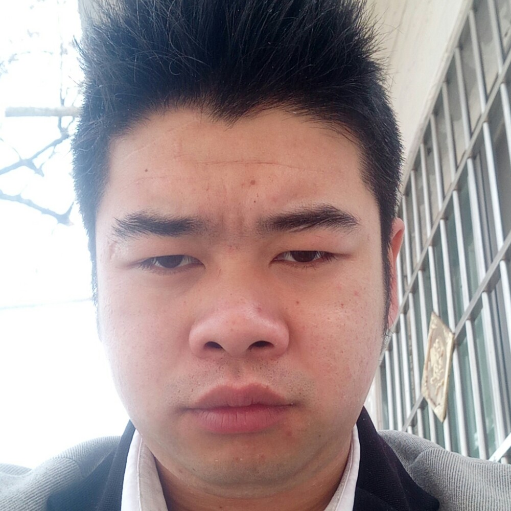 龙龙虾的照片