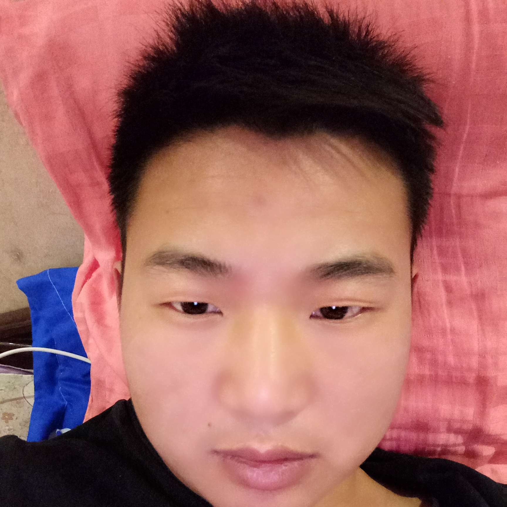 刻苦停止书本的照片