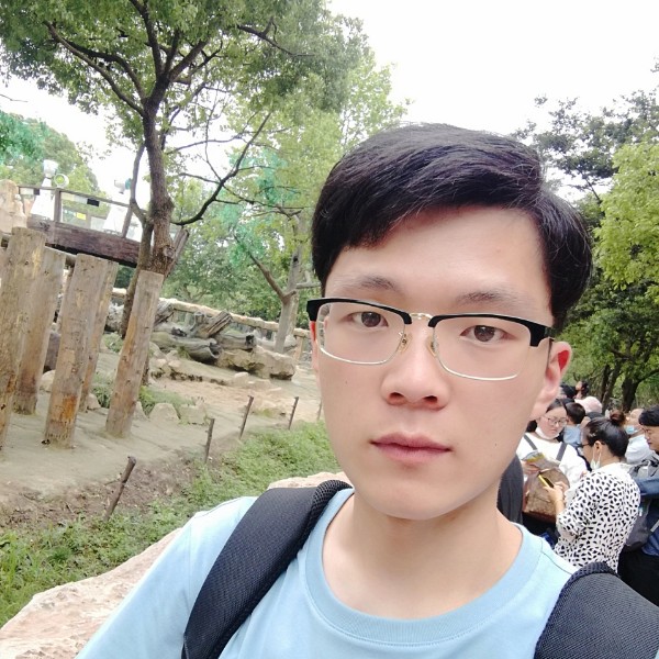 蹦跶的兔子、的照片