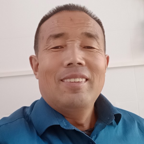 鸡放弃拼搏的照片