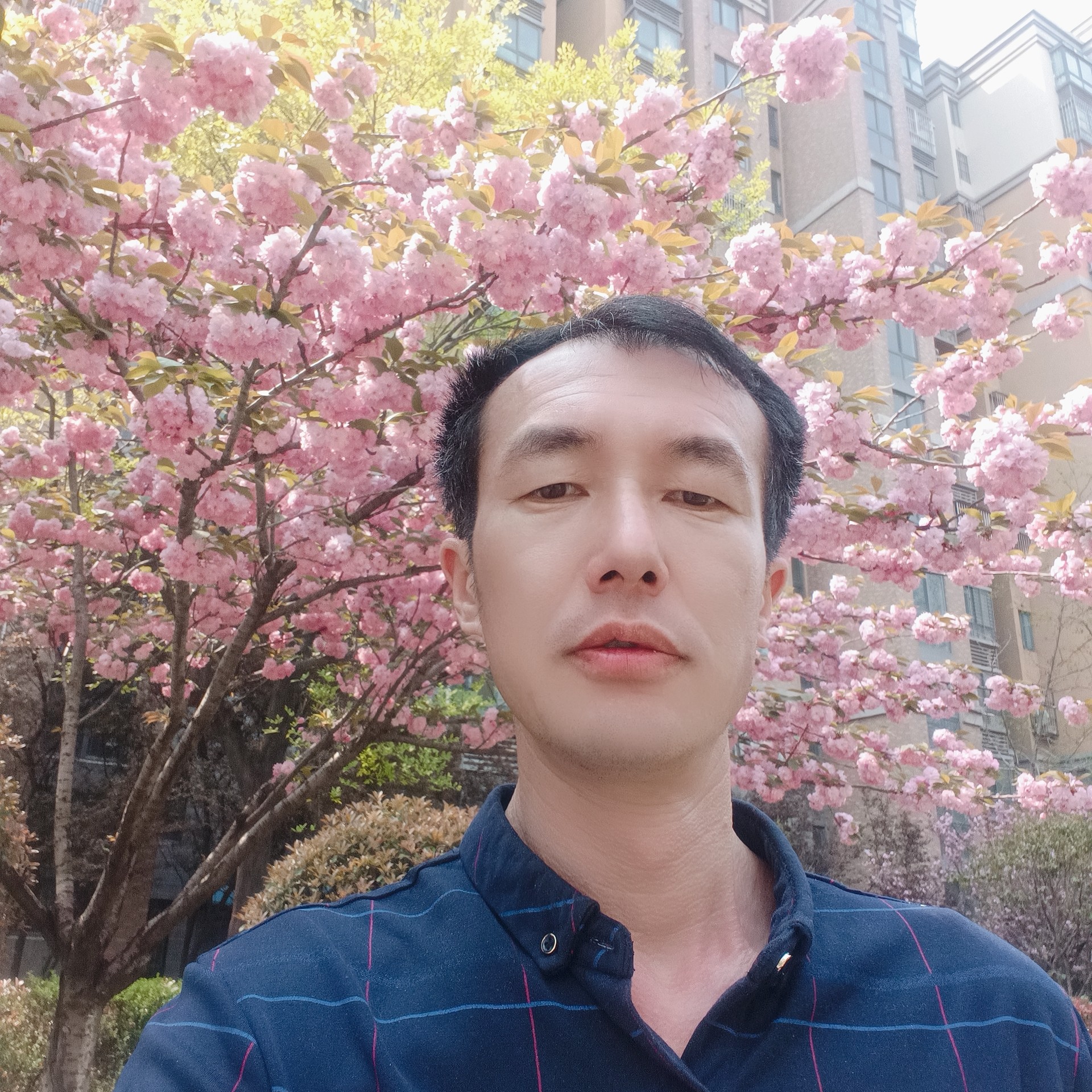专注和青衫的照片