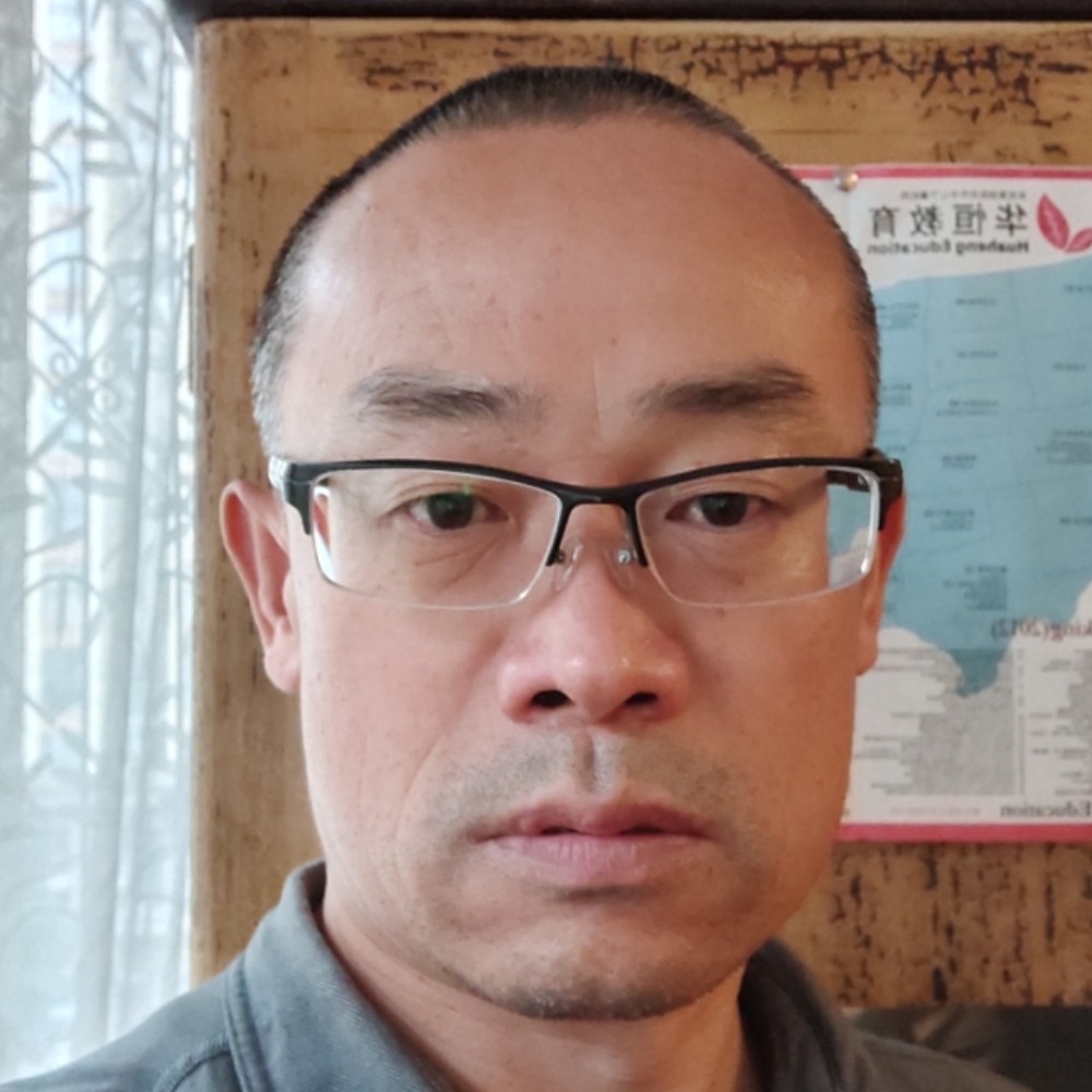 蚂蚁一个人的照片