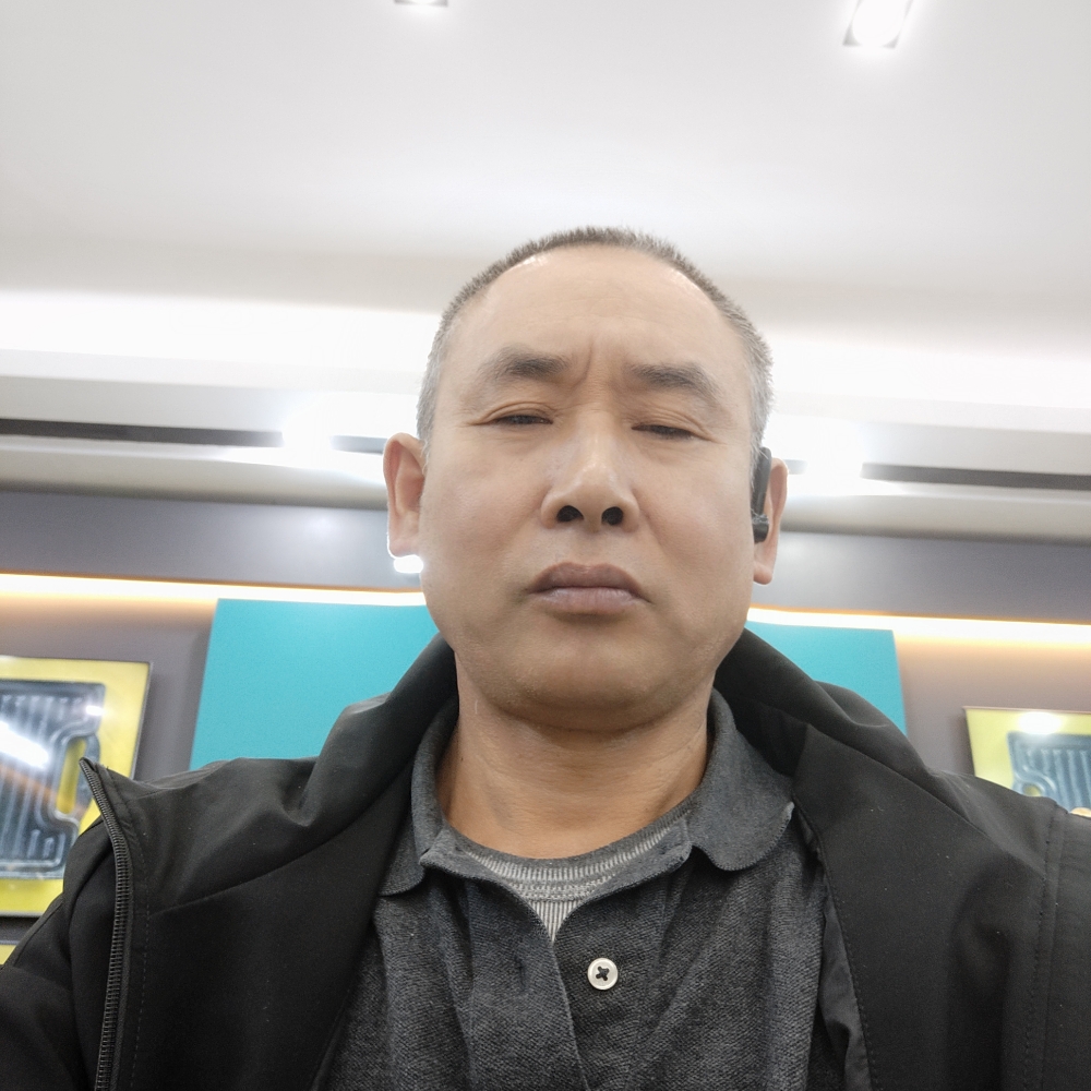 羽毛那忧伤的照片