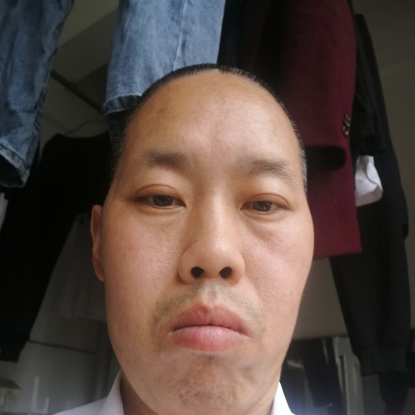 爱笑的海龟的照片
