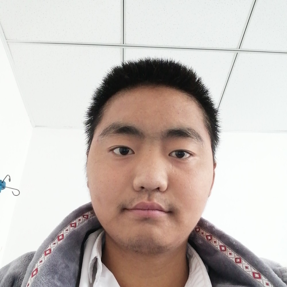 龙哥zadx的照片