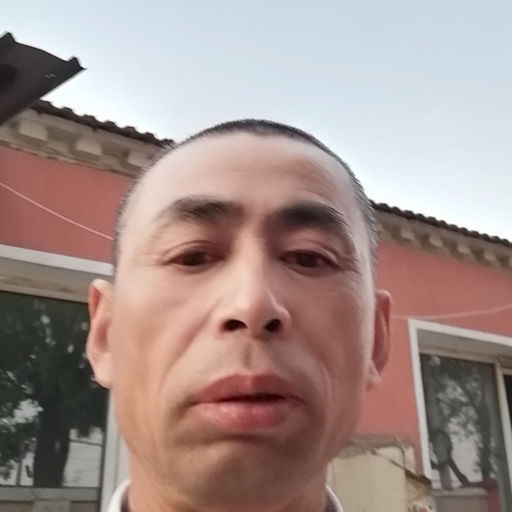 石头打淡然的照片