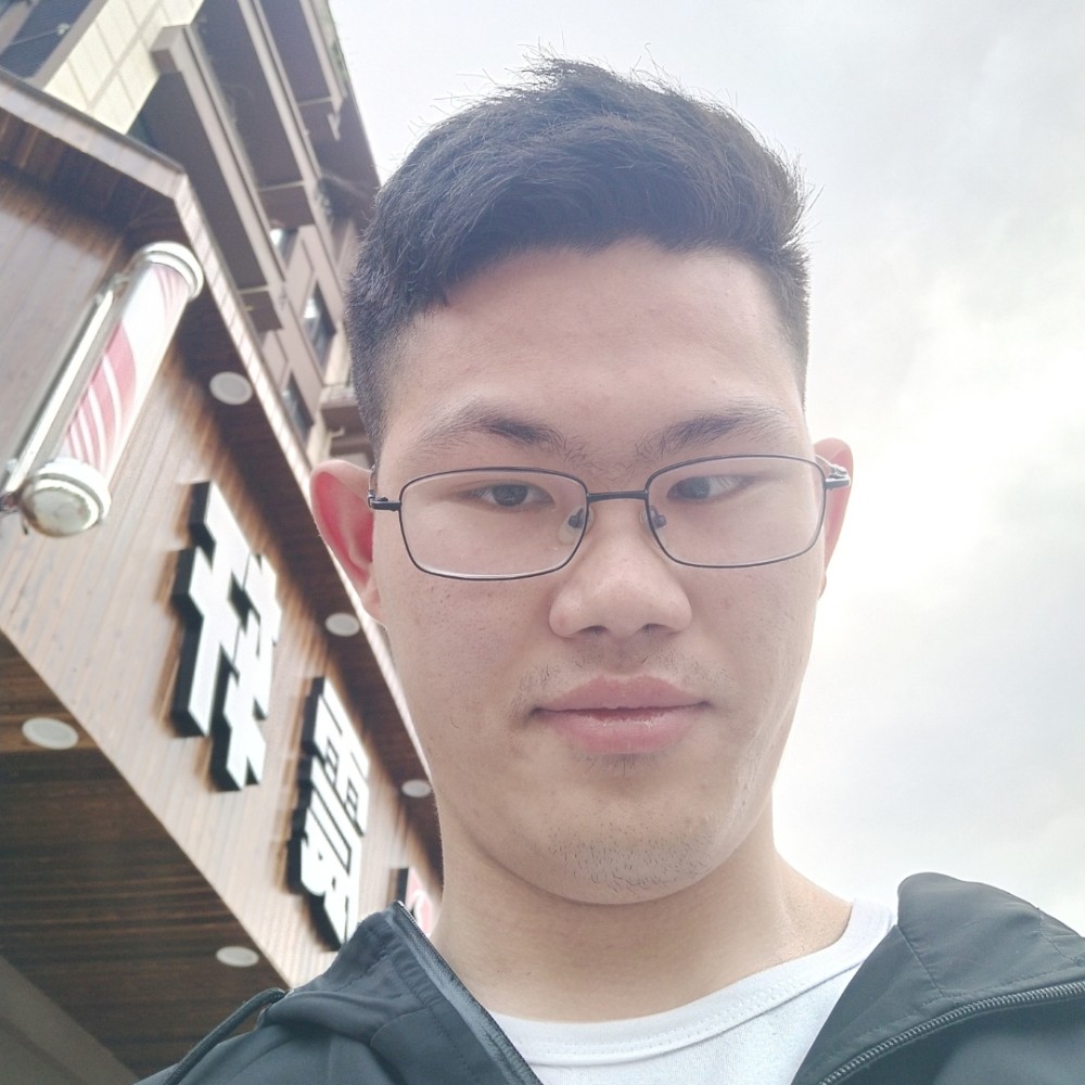 老鼠绵密的照片