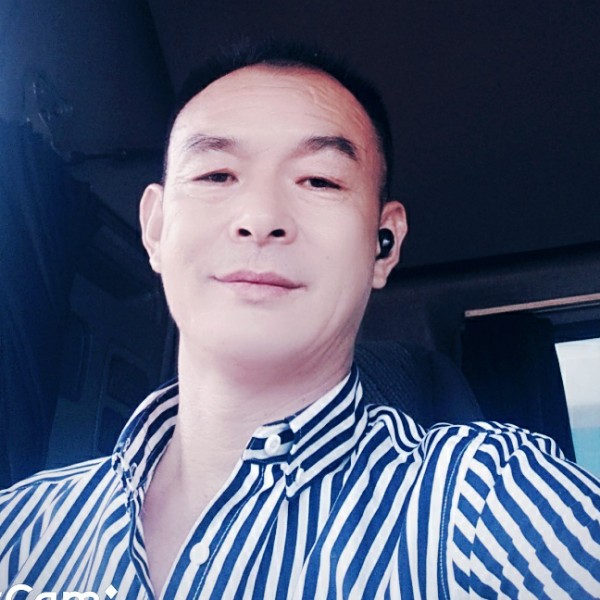 苗条保卫鸭子的照片