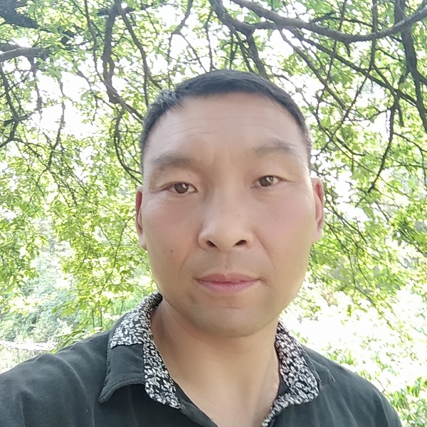 美好打沐樱的照片