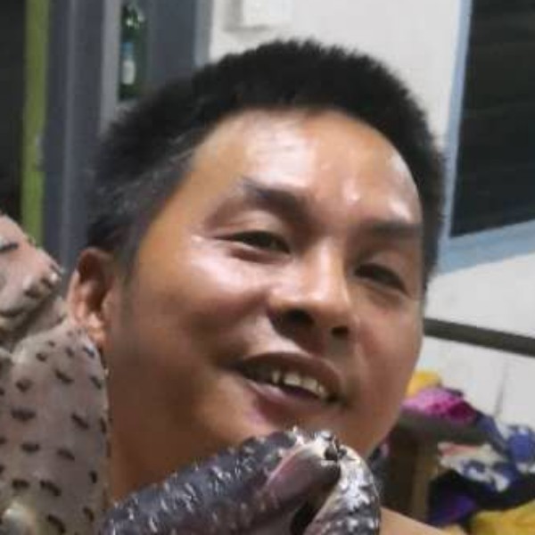 冷月蹙眉追寻的照片