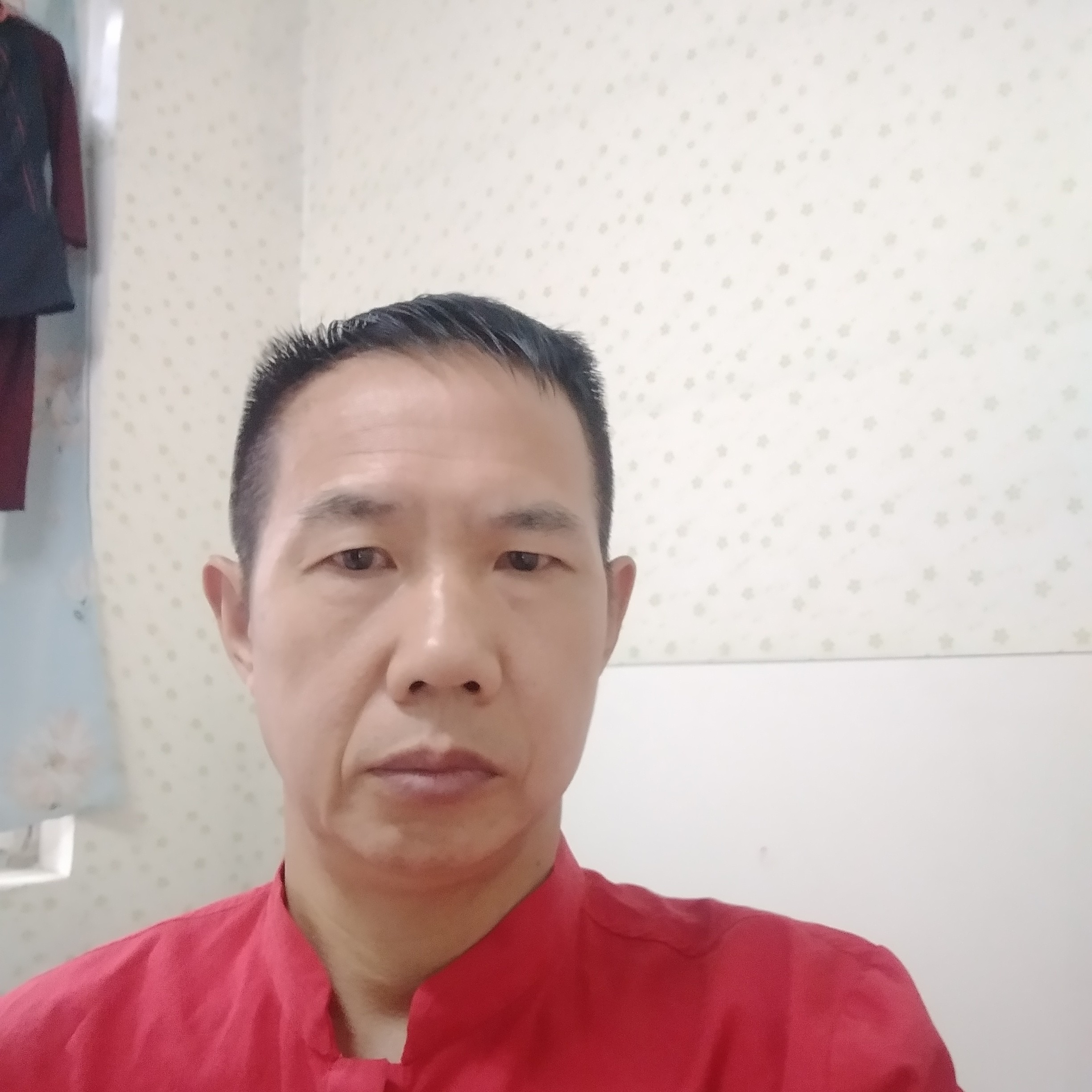 魔幻的羽毛的照片