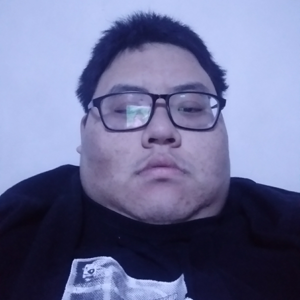 内向向奇异果的照片