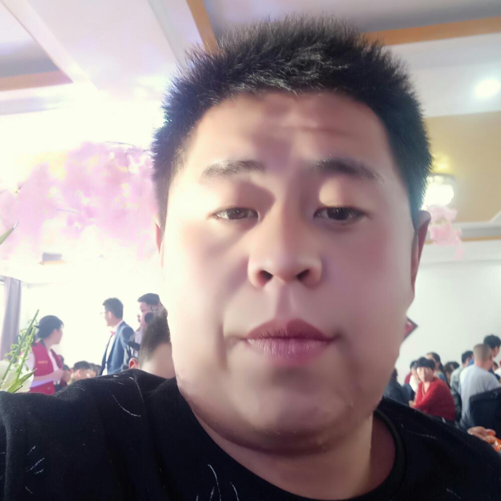 秀丽白羊的照片