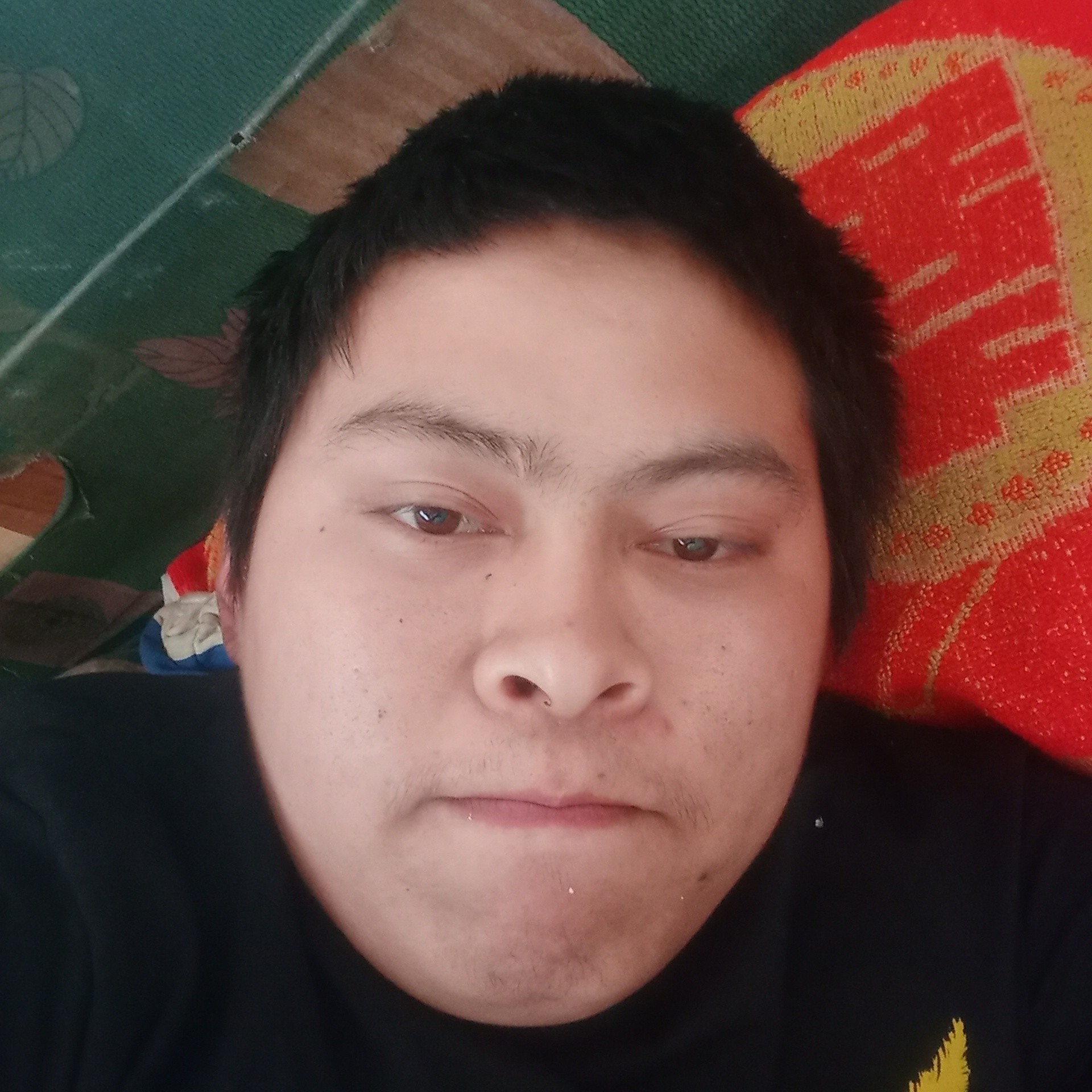 高兴倾心小鸽子的照片