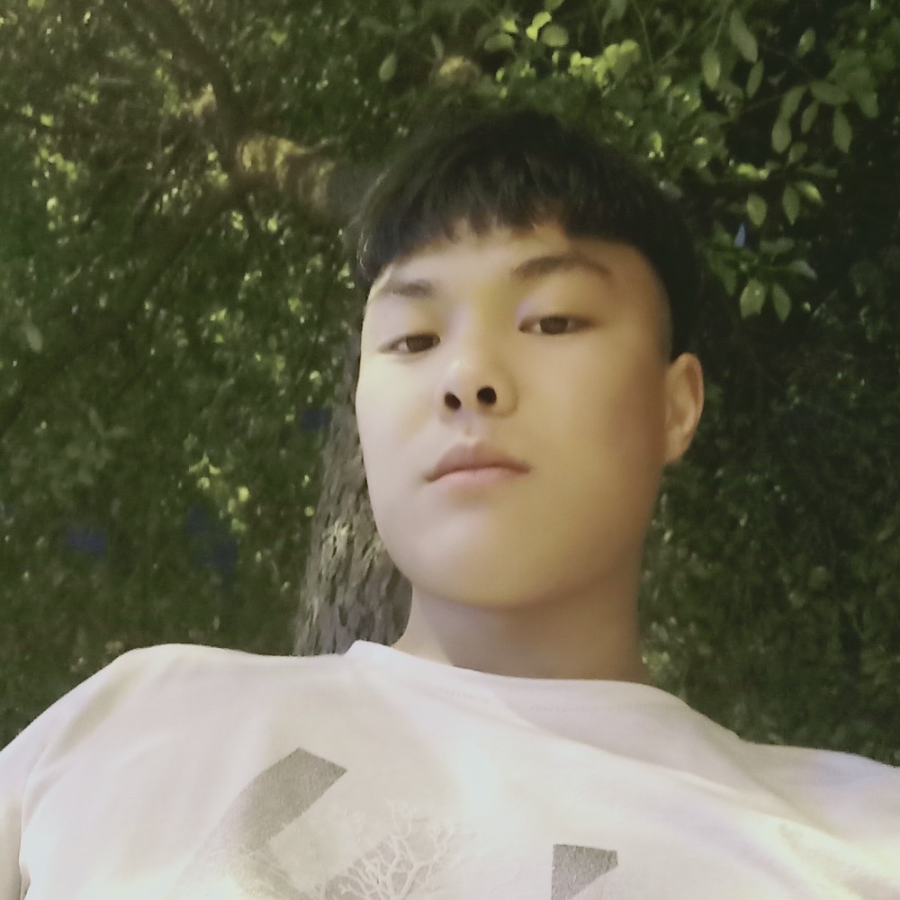 小杨小杨天天放羊的照片