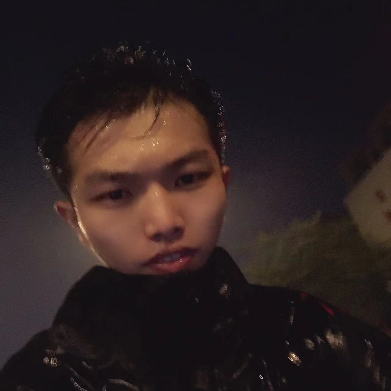 迷人发卡的照片