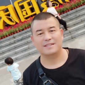 断翼的雄鹰。的照片