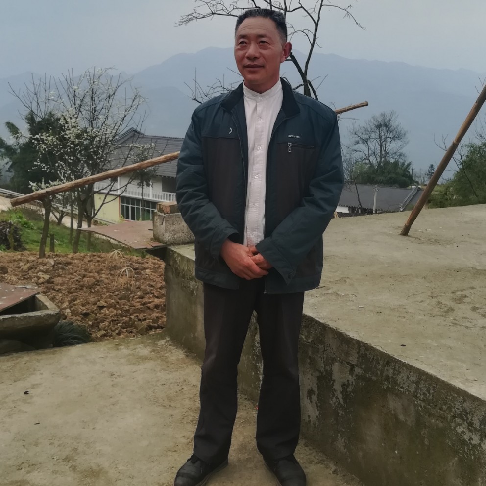 楼房温柔的照片