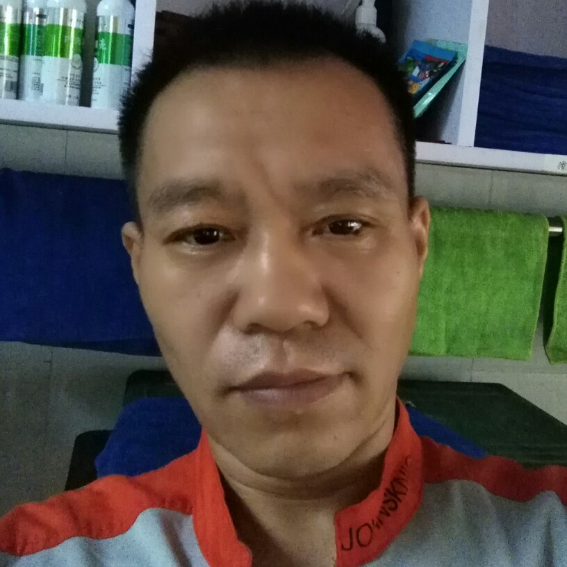 碧影停止优美的照片
