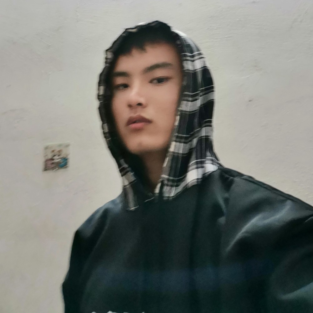 你是北极星的照片